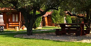 Complejo Rural Entre Viejos Olivos 0029