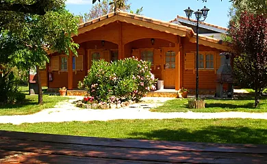 Complejo Rural Entre Viejos Olivos en Benicolet (Valencia) - Foto 1