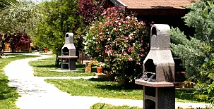 Complejo Rural Entre Viejos Olivos 0030