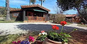 Complejo Rural Entre Viejos Olivos 002