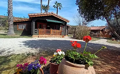 Complejo Rural Entre Viejos Olivos en Benicolet (Valencia) - Foto 2