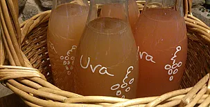 Reitoral de Chandrexa 0014