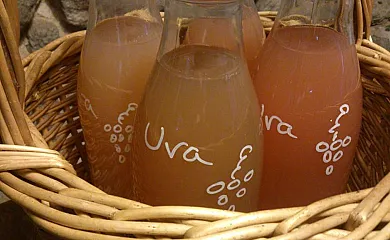 Reitoral de Chandrexa en Parada Do Sil (Ourense) - Foto 14