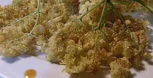 Reitoral de Chandrexa 0023