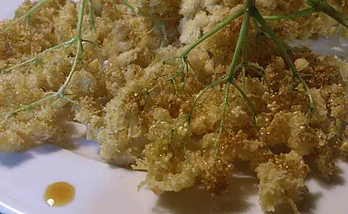 Reitoral de Chandrexa en Parada Do Sil (Ourense) - Foto 23