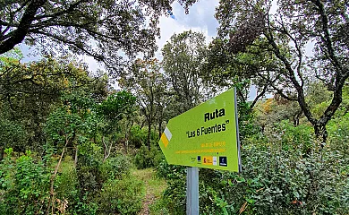 La Posada el Corralón de Cabañeros en Alcoba de los Montes (Ciudad Real) - Foto 16