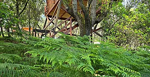 Ecolodge de Cabañeros 0012