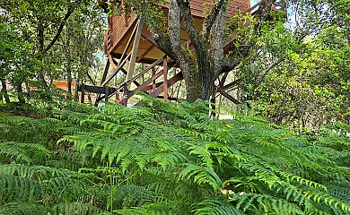 Ecolodge de Cabañeros en Retuerta Del Bullaque (Ciudad Real) - Foto 12