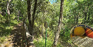 Ecolodge de Cabañeros 0019