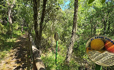 Ecolodge de Cabañeros en Retuerta Del Bullaque (Ciudad Real) - Foto 19