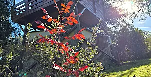 Ecolodge de Cabañeros 0024