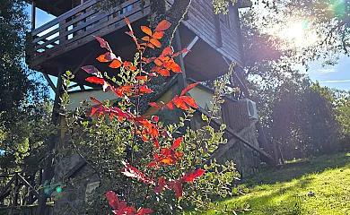 Ecolodge de Cabañeros en Retuerta Del Bullaque (Ciudad Real) - Foto 24