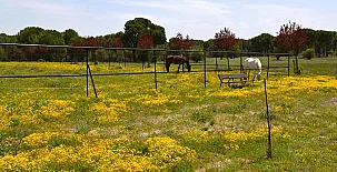 Posada Real del Pinar 003