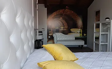 Alma de la Ribera en Peñafiel (Valladolid) - Foto 4