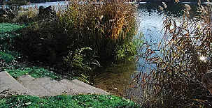 Villa Semsem A y B 0027