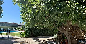 Casa Rural Piedra Dorada 003