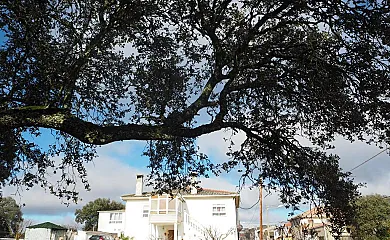 Villa Entre Encina en Moralina (Zamora) - Foto 3