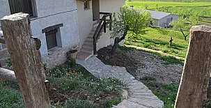 MAS DE SALVADOR 0016