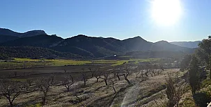 MAS DE SALVADOR 0020