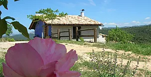 MAS DE SALVADOR 0022