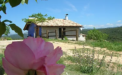 MAS DE SALVADOR en Peñarroya de Tastavíns (Teruel) - Foto 22