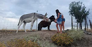 Duquesa de la Conquista 0024