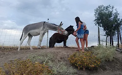 Duquesa de la Conquista en Vega De Santa María (Ávila) - Foto 24