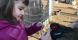 Duquesa de la Conquista 0026