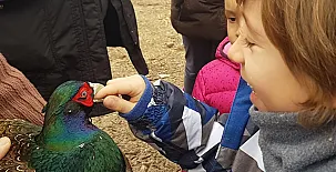 Duquesa de la Conquista 0028