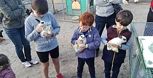 Duquesa de la Conquista 0031