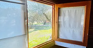 El Bosque de Ribera 007