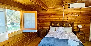 El Bosque de Ribera 008