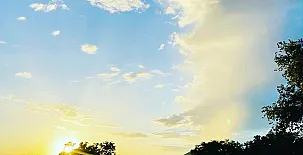 El Bosque de Ribera 009