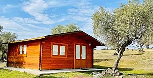 El Bosque de Ribera 003