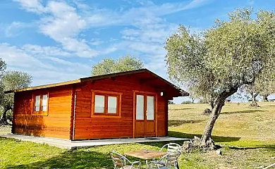 El Bosque de Ribera en Escalona (Toledo) - Foto 3