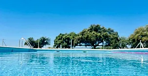 El Bosque de Ribera 004