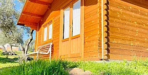 El Bosque de Ribera 0010