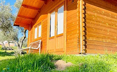 El Bosque de Ribera en Escalona (Toledo) - Foto 10