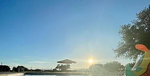 El Bosque de Ribera 0011