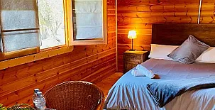 El Bosque de Ribera 0012