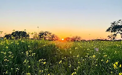 El Bosque de Ribera en Escalona (Toledo) - Foto 13