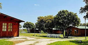 El Bosque de Ribera 0014