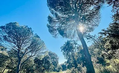 El Bosque de Ribera en Escalona (Toledo) - Foto 15