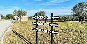 El Bosque de Ribera 0016