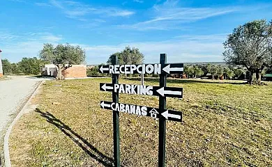 El Bosque de Ribera en Escalona (Toledo) - Foto 16