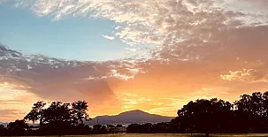 El Bosque de Ribera 0017