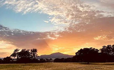 El Bosque de Ribera en Escalona (Toledo) - Foto 17