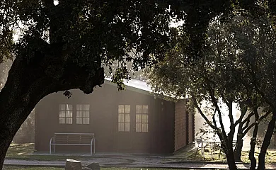 El Bosque de Ribera en Escalona (Toledo) - Foto 19