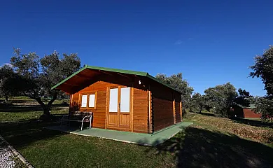 El Bosque de Ribera en Escalona (Toledo) - Foto 21