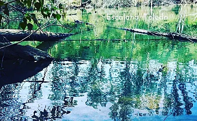 El Bosque de Ribera en Escalona (Toledo) - Foto 23